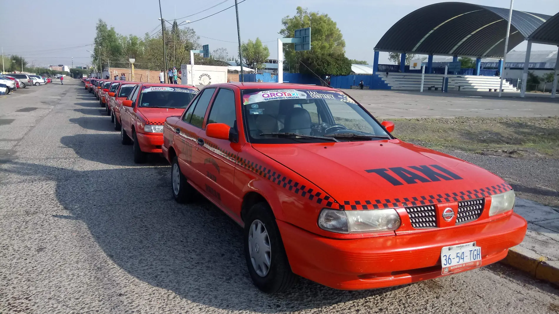 Mediante el c_digo QR se programan los servicios de movilidad en taxi.  Rosal_a Nieves